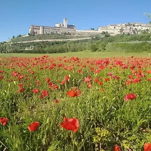  Casa vacanze Casetta Delle Rose